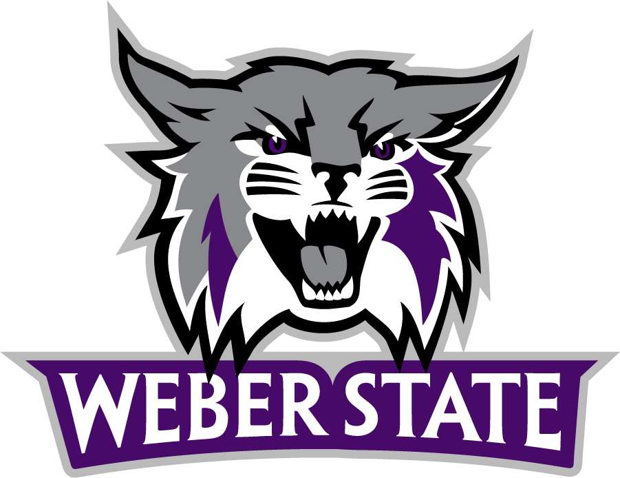 Weber State Wildcats 2012-Pres Primary Logo diy iron on heat transfer